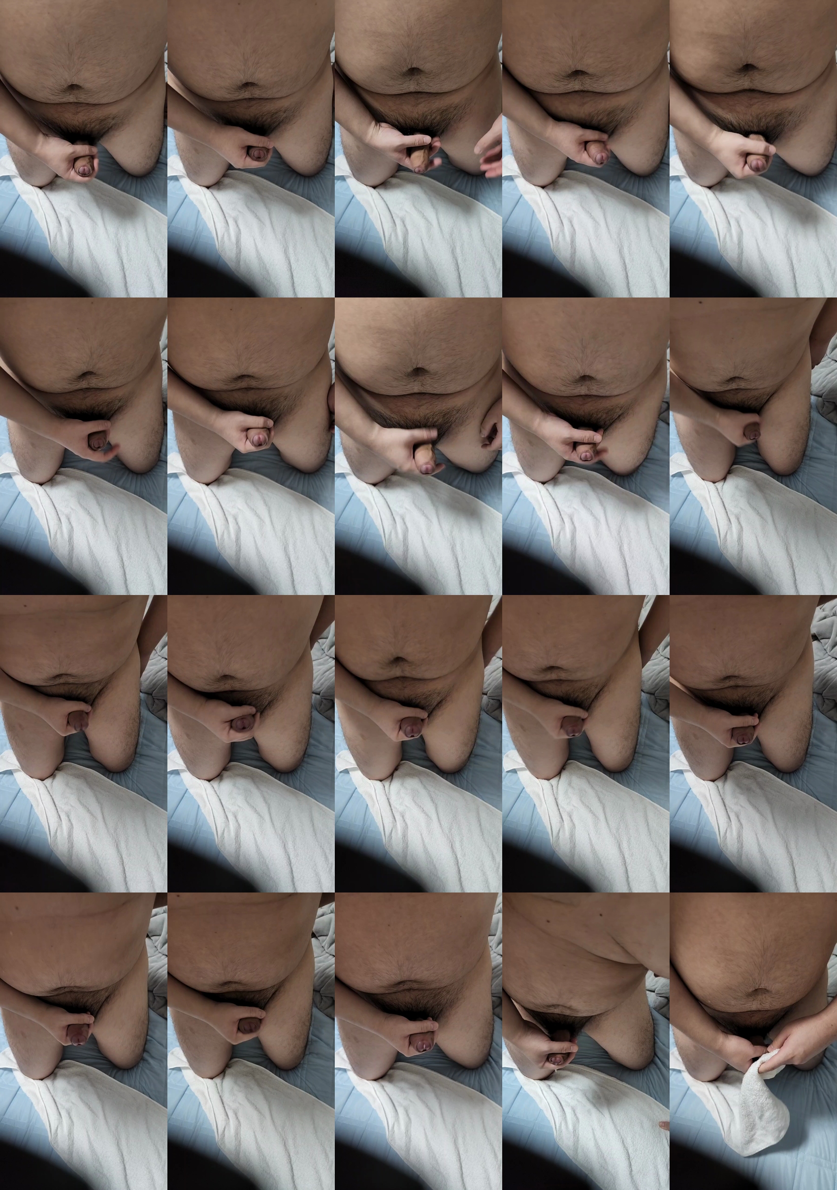Honey_pudgy  23-07-2022